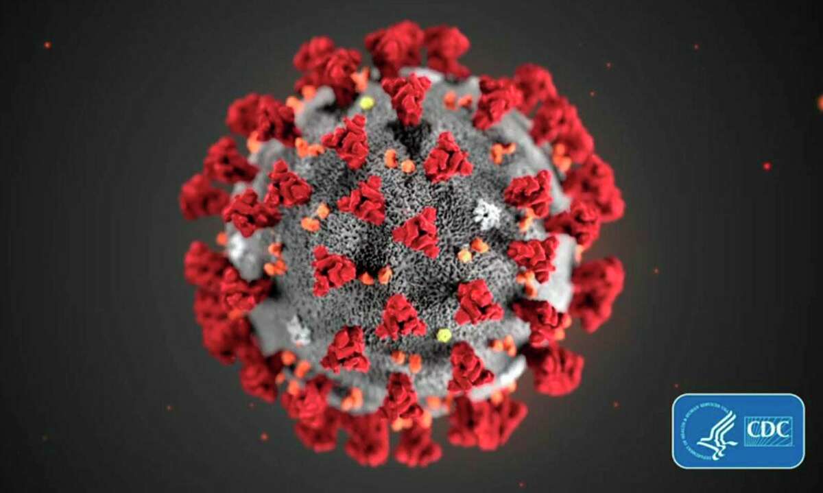 A COVID-19 particle is pictured in this image provided by the Centers for Disease Control and Prevention. (CDC/TNS)
