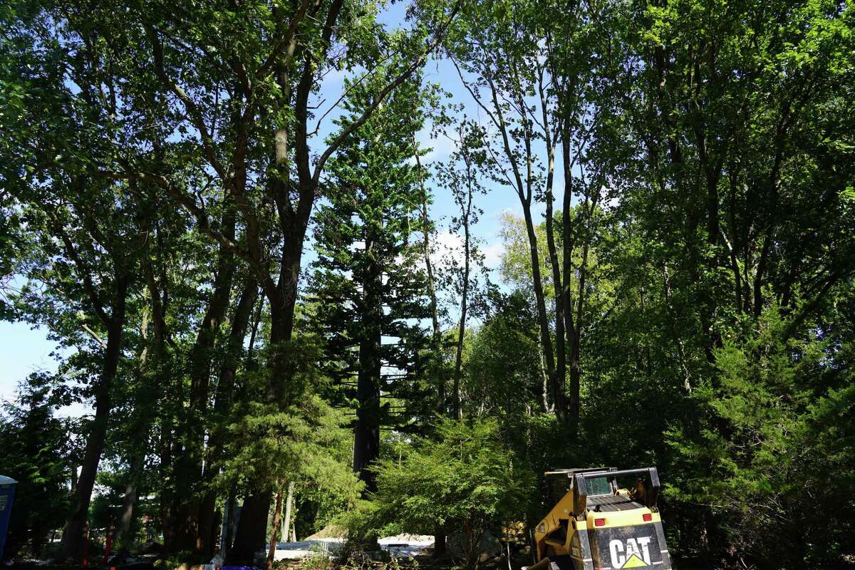 The 85-foot pine monopole cell tower has been erected on Keith Richey’s private property at 183 Soundview Lane.