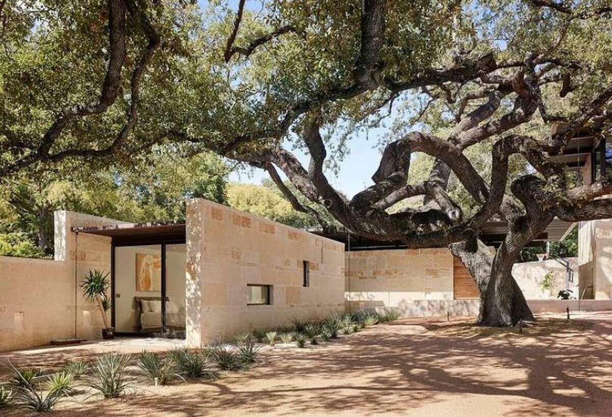 A space designed by the firm in Olmos Park opens onto a central courtyard anchored by this large oak tree.