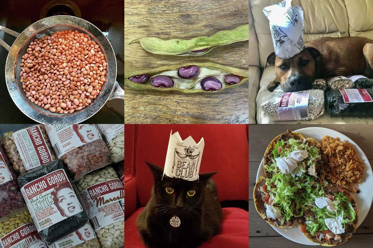 Photos of beans, dishes and pets shared on the Rancho Gordo bean club Facebook group.