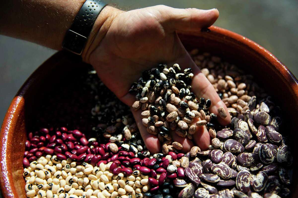 Rancho Gordo owner Steve Sando sifts through a variety of dried heirloom beans.