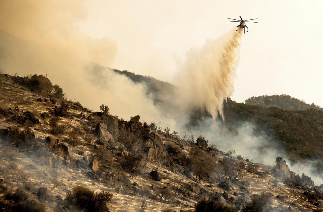 World’s largest sequoias wrapped in aluminum insulation as fire nears ...