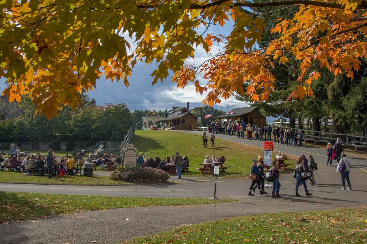 The event is not just for knitting aficionados. It's held at the height of leaf peeping season and comes with many family-friendly county fair trappings, like festival foods and 4H Club sheep and goat shows.