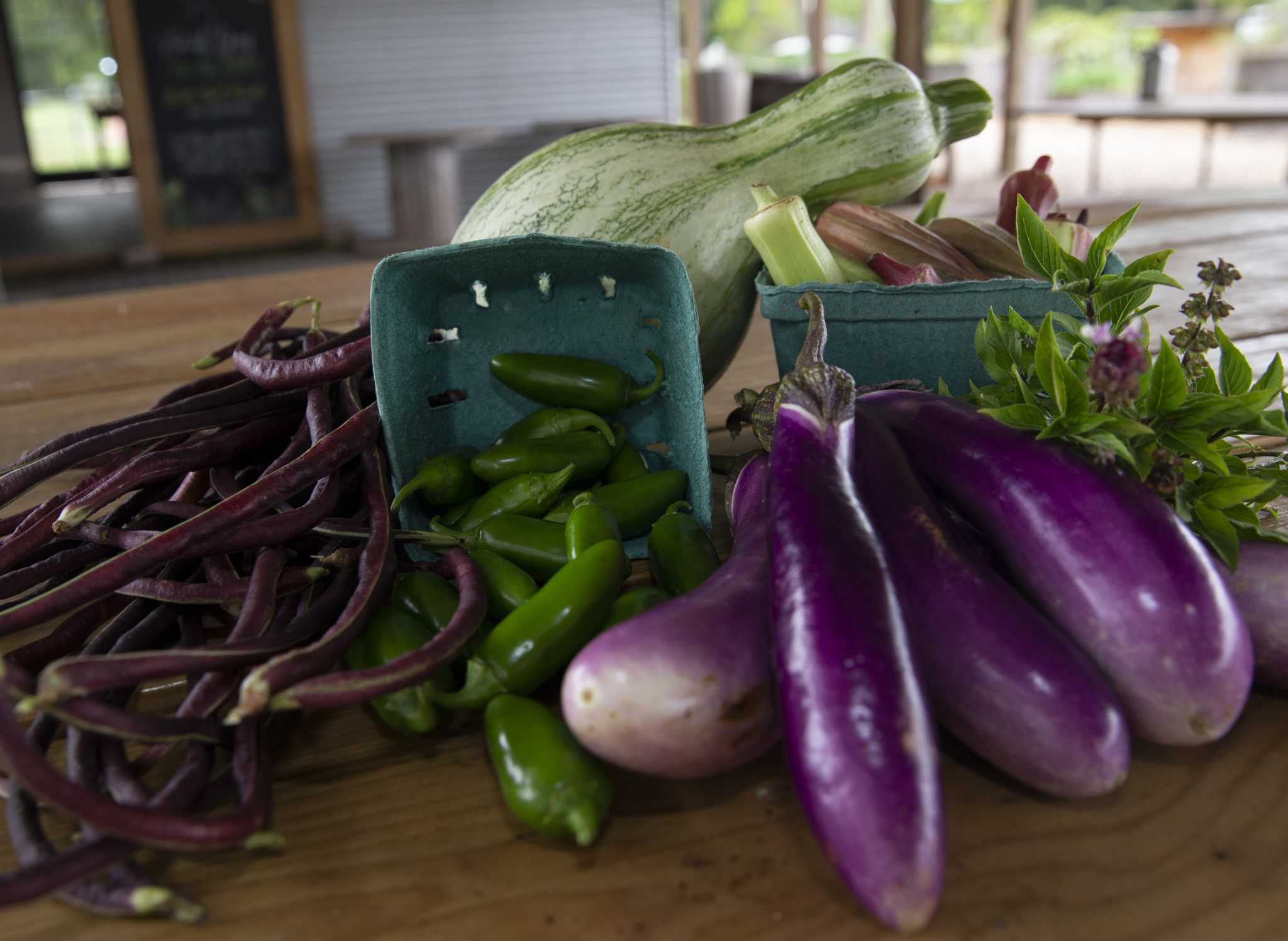 Higher rates of food contamination found at markets in Houston’s low