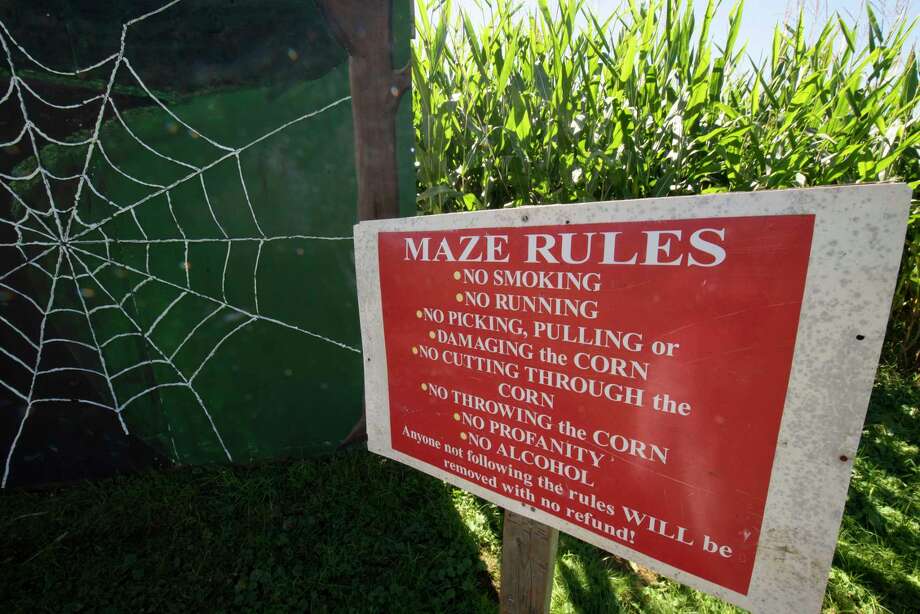 Lori Van Buren Times Union