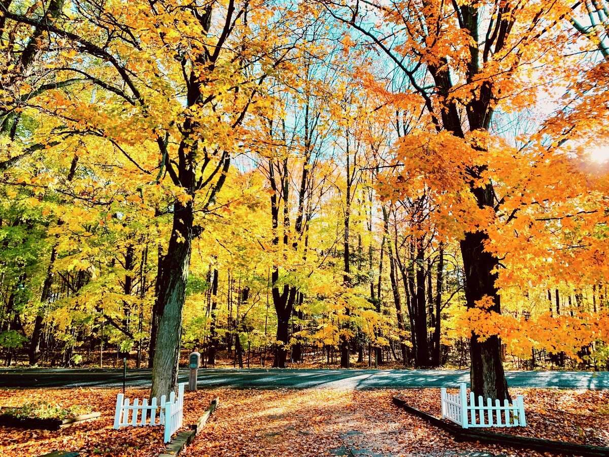 Fall is just around the corner and now is the time to prepare your yard for the colder temperatures. (Star file photo)