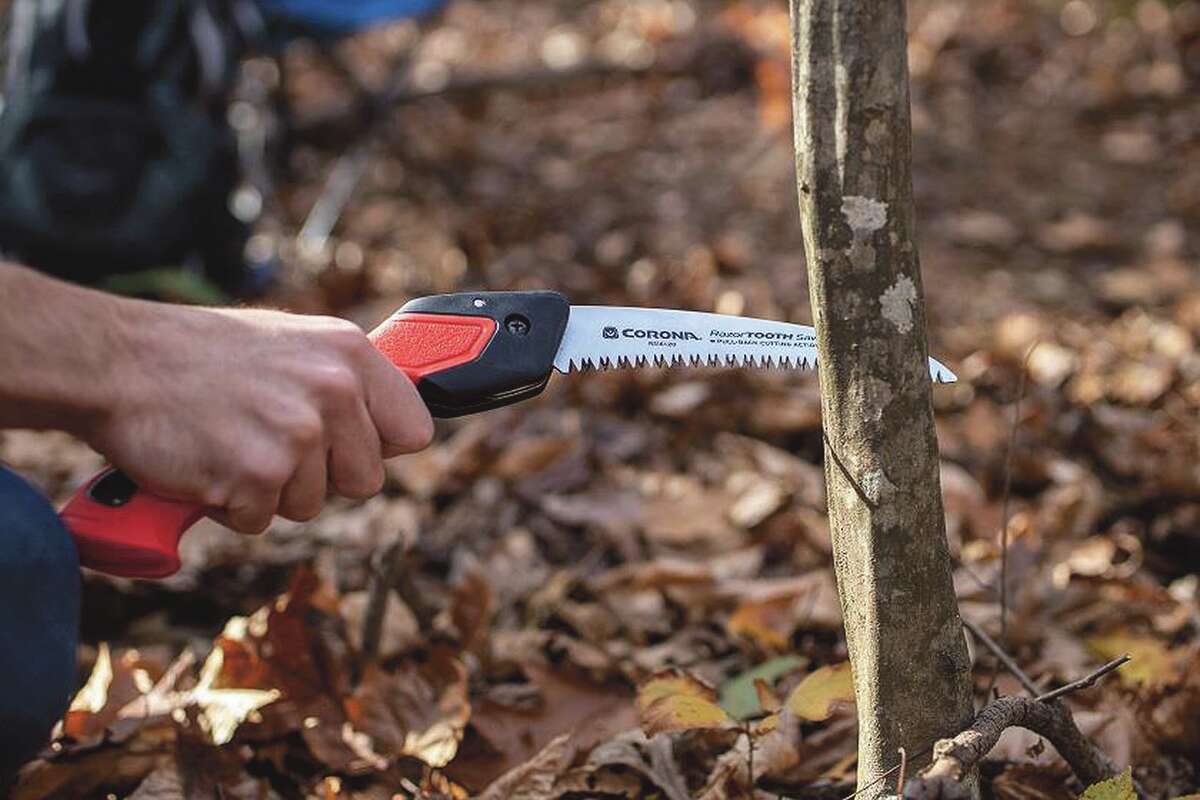 A 7-inch RazorTooth folding saw is perfect for removing small or medium sized dead or diseased branches from shrubs and small trees in the fall. 