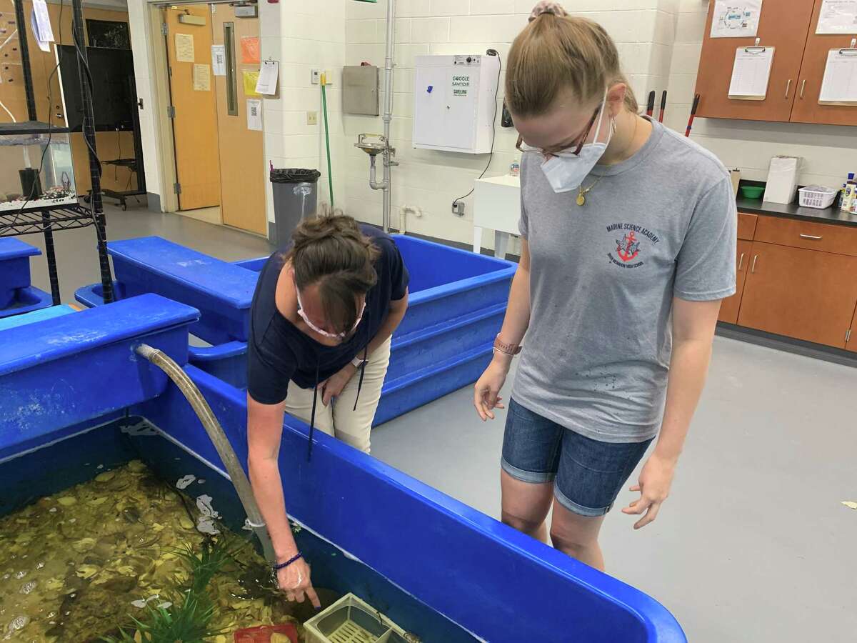 The Marine Science Academy at Brien McMahon High School will be one of the programs represented at the Norwalk Public Schools High School Choice Fair on Nov. 3 from 6 to 8 p.m. at the Carver Foundation.