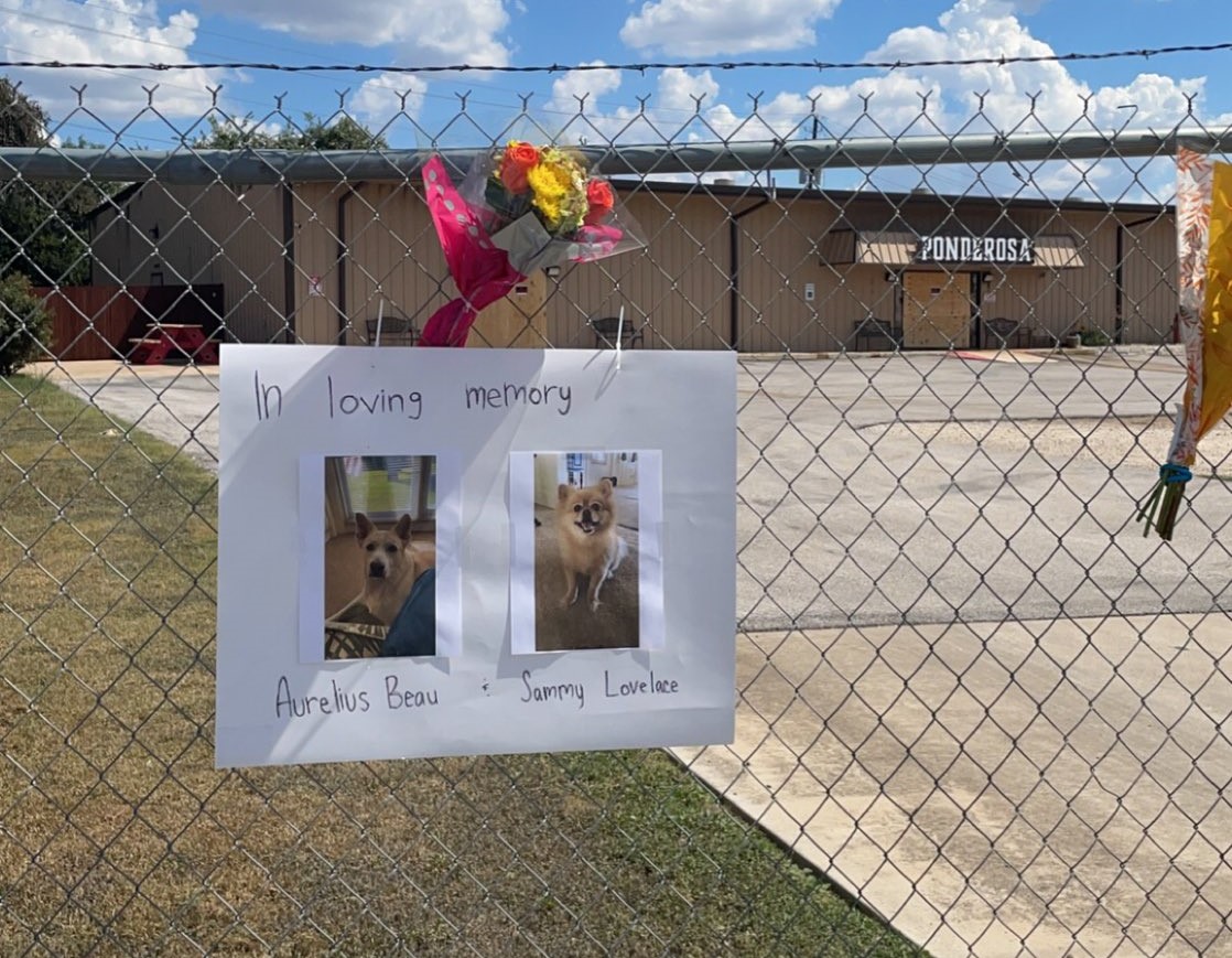 heartbroken' 75 dogs die in fire at Texas pet resort