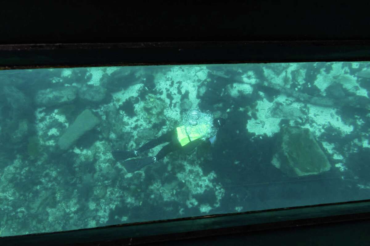 Explosive growth endangers unique wildlife, critical waters of San