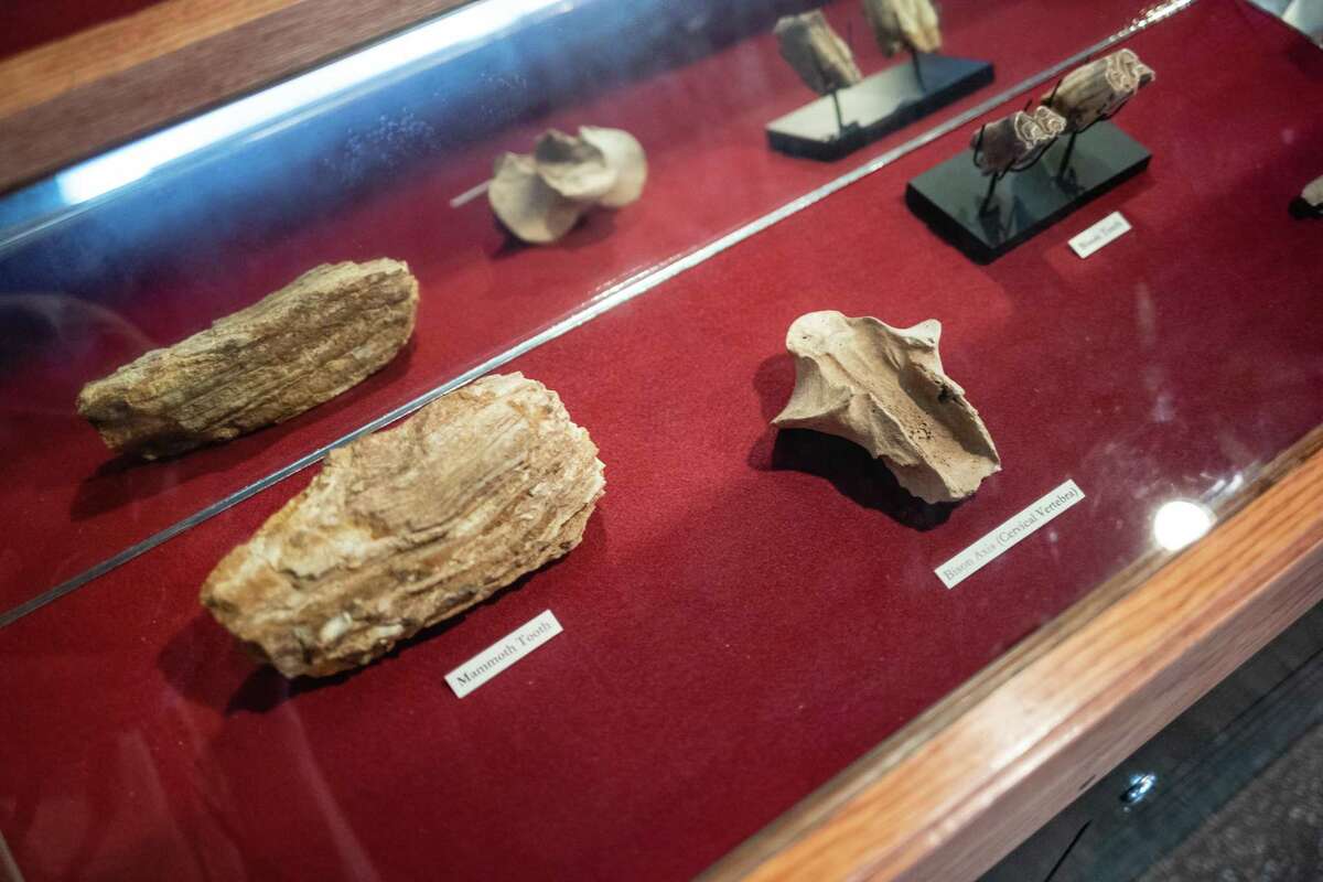 Relics are displayed Wednesday at Texas State's Meadows Center for Water and the Environment in San Marcos.