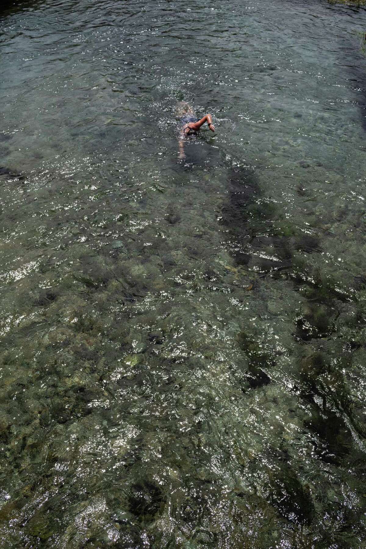 A swimmer heads upstream Wednesday in the San Marcos River.