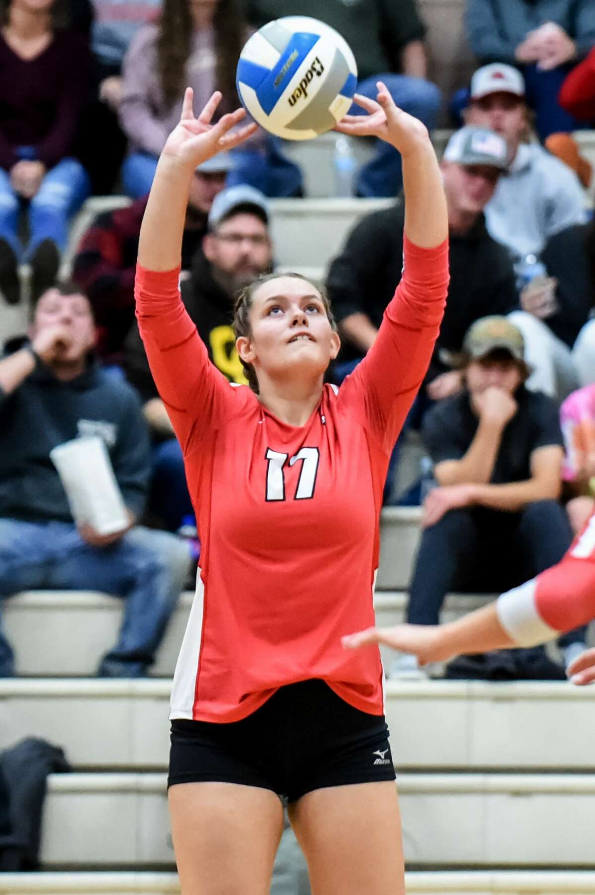 Beaverton's Kaelyn Fischer sets the ball during a match against Clare Wednesday, Sept. 22, 2021 at Beaverton High School. (Adam Ferman/for the Daily News)