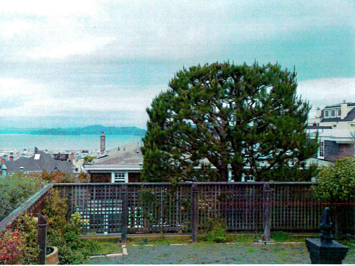 The view-blocking tree as seen in a photograph from 2019 in San Francisco’s Pacific Heights neighborhood.