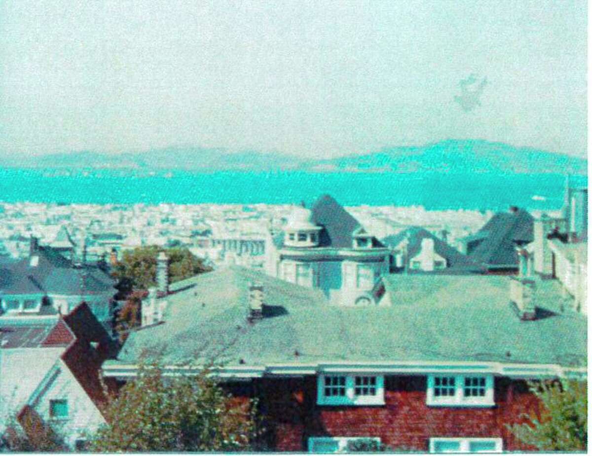 The view from the plaintiff’s house in 1986 — the tree was planted in 1999.