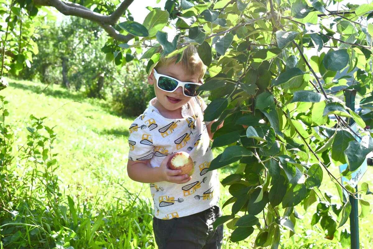 Children and their families went apple-picking Sept. 18 at March Farm in Bethlehem.