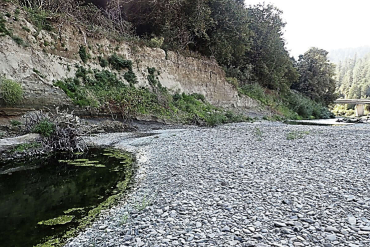 'This is historic' For at least a week, California's Eel River stopped