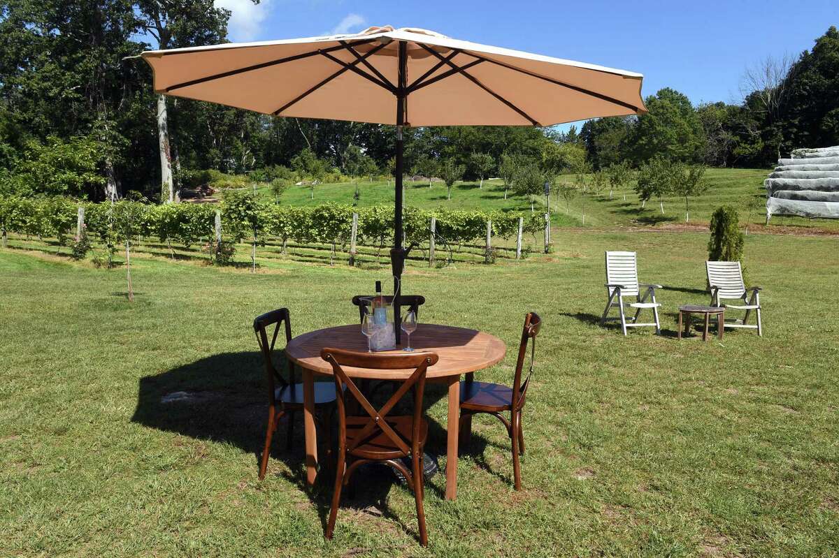 Newly opened family vineyard brings wine and ‘tremendous beauty’ to Orange