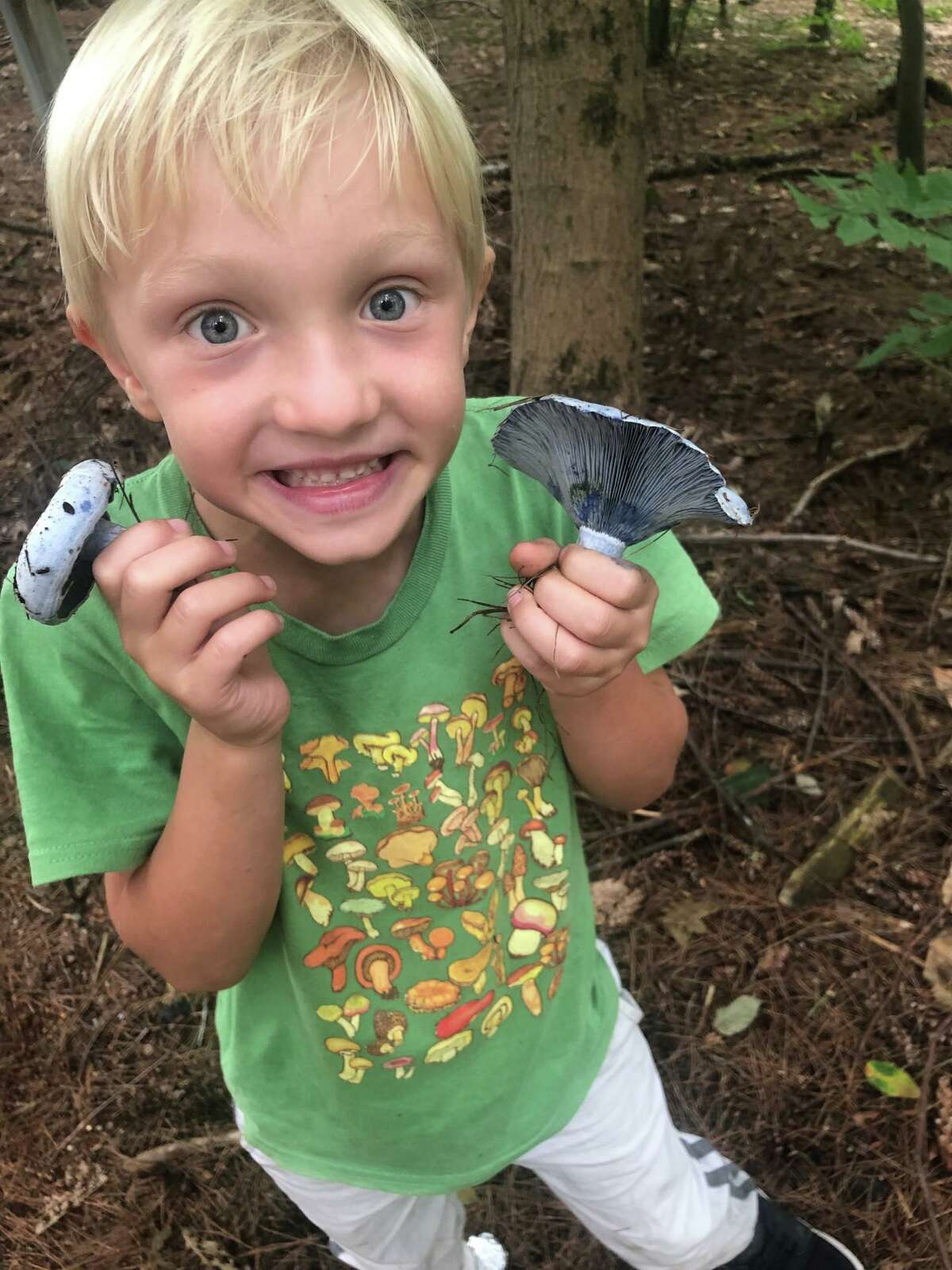 Eli Galaise, 6, of Falls Village, known on YouTube as "the Little Mycologist," holds some lactarius indigo he found.