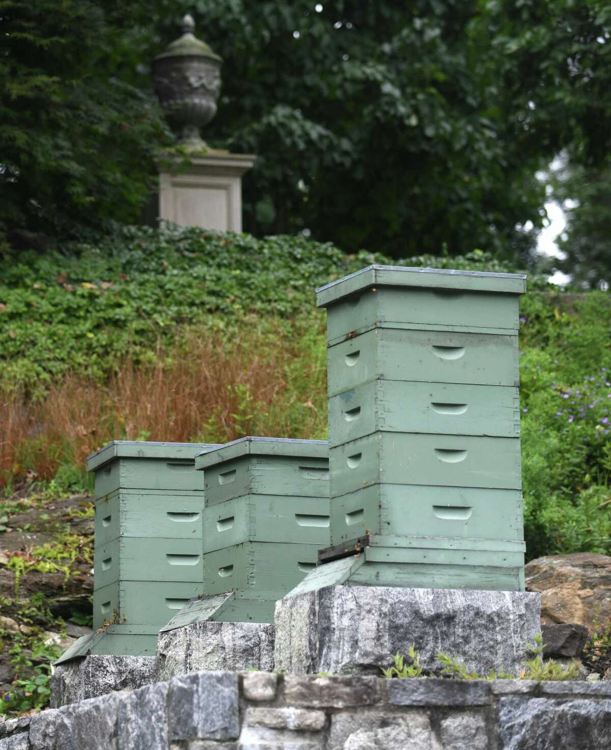 Sleepy Cat Farm A gardener’s garden blooms in Backcountry Greenwich