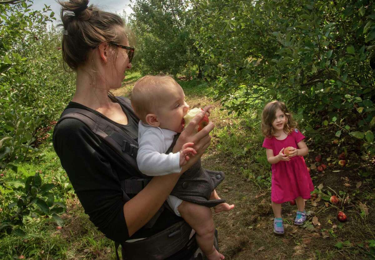 Cailey Heffley of Glenmont holds her daughter Fiona, 4 mos., who’s tasting an apple, as her other daughter Elly, 3, finds a low hanging apple while apple picking at Indian Ladder Farms on Monday, Sept. 27, 2021 in Altamont, N.Y.