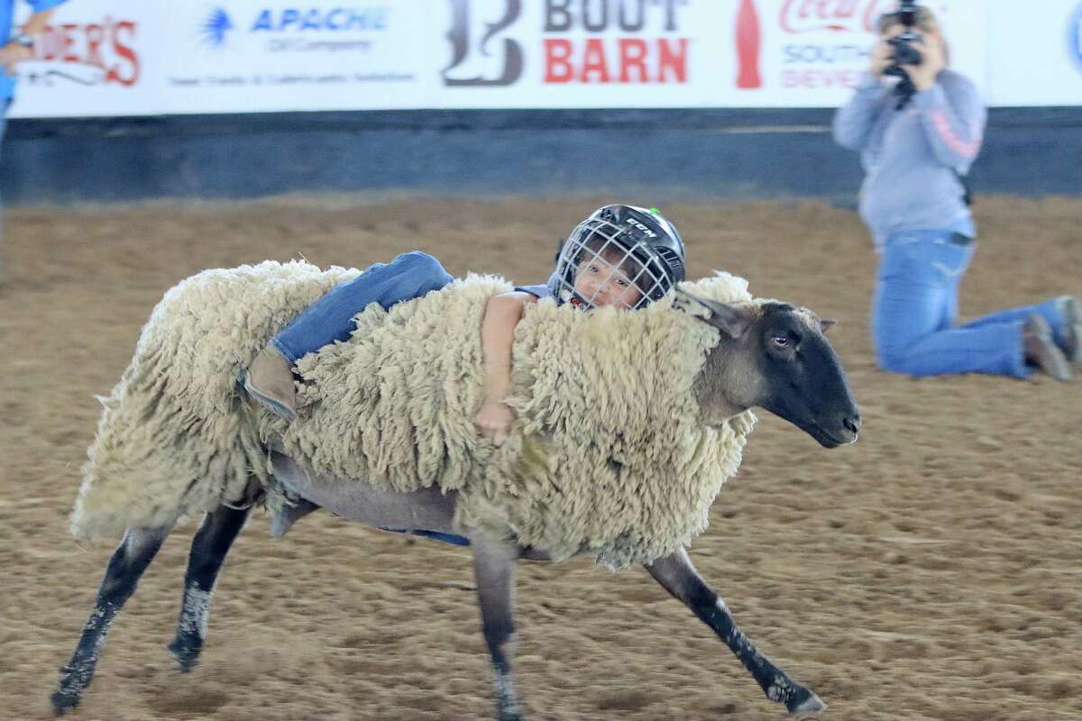 Mutton bustin’ tots, tasty treats among sights at Pasadena rodeo