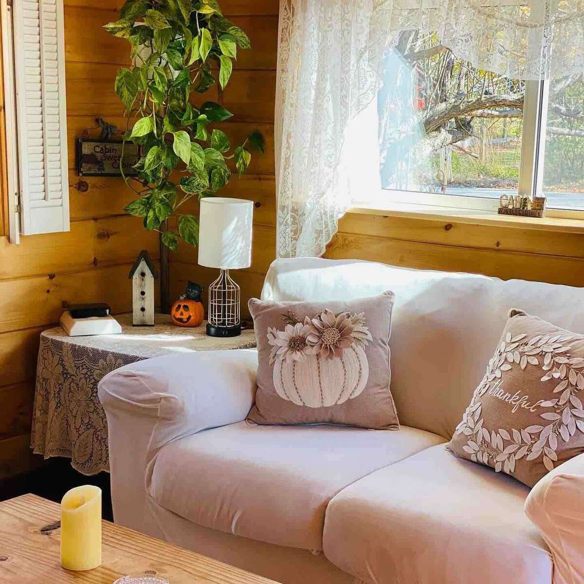 Unplug and recharge your soul at this 400 square foot log cabin surrounded by wildlife and nature.