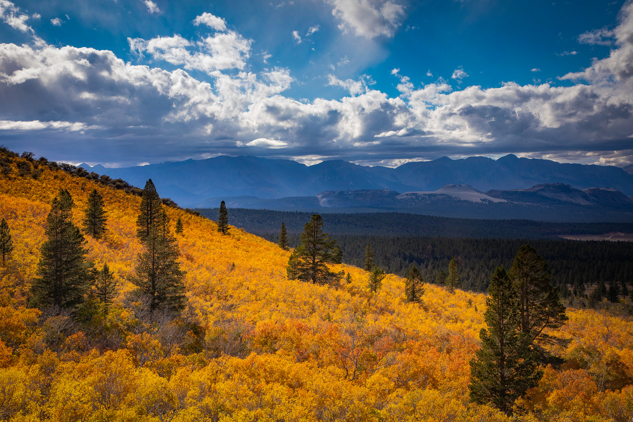 Where to find the prettiest fall foliage in Northern California and Bay Area
