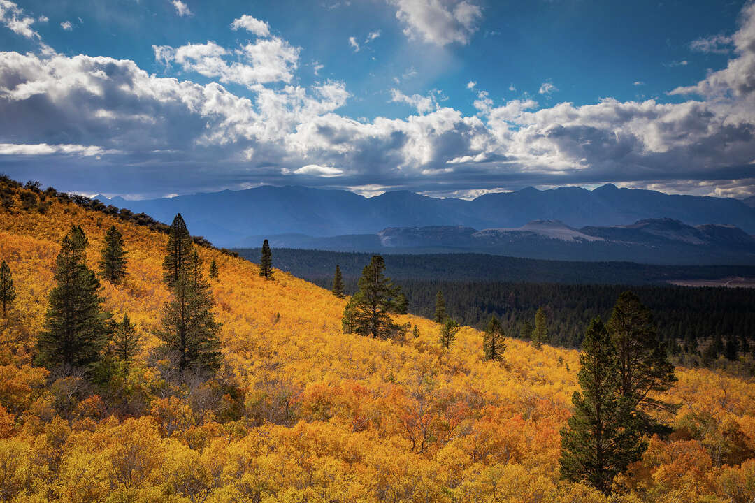 Where to find the prettiest fall foliage in Northern California and Bay ...