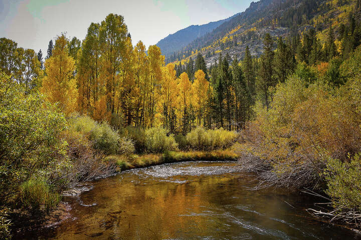 Where to find the prettiest fall foliage in Northern California and Bay ...