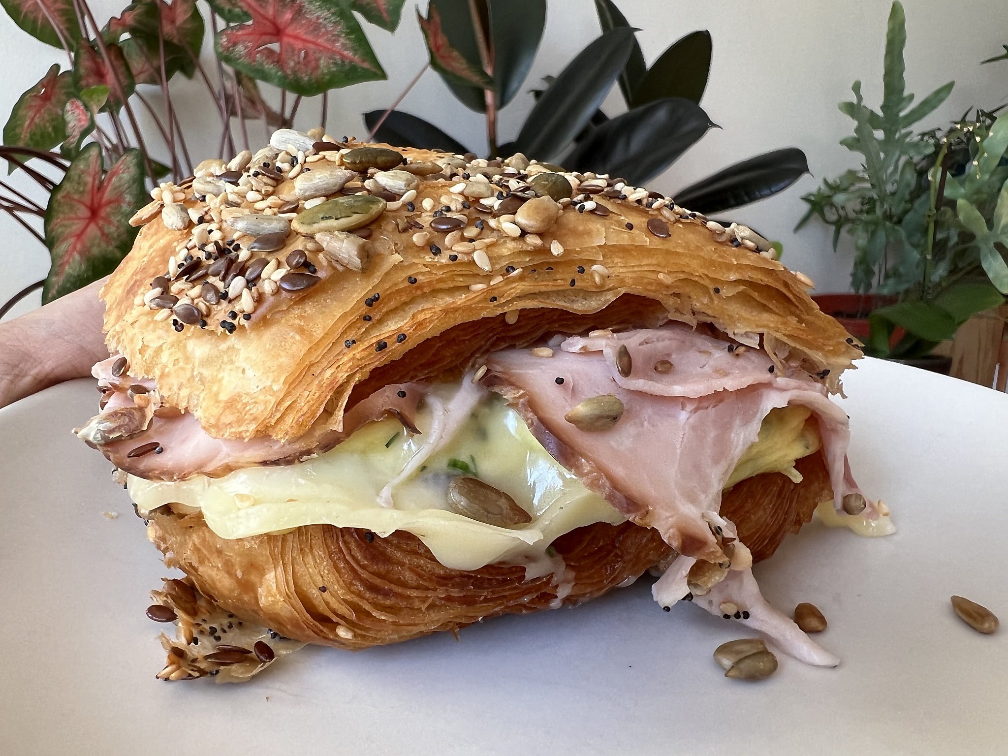 Eat this breakfast sandwich with flaky Danish pastry and gooey Havarti cheese - Vimarsana News