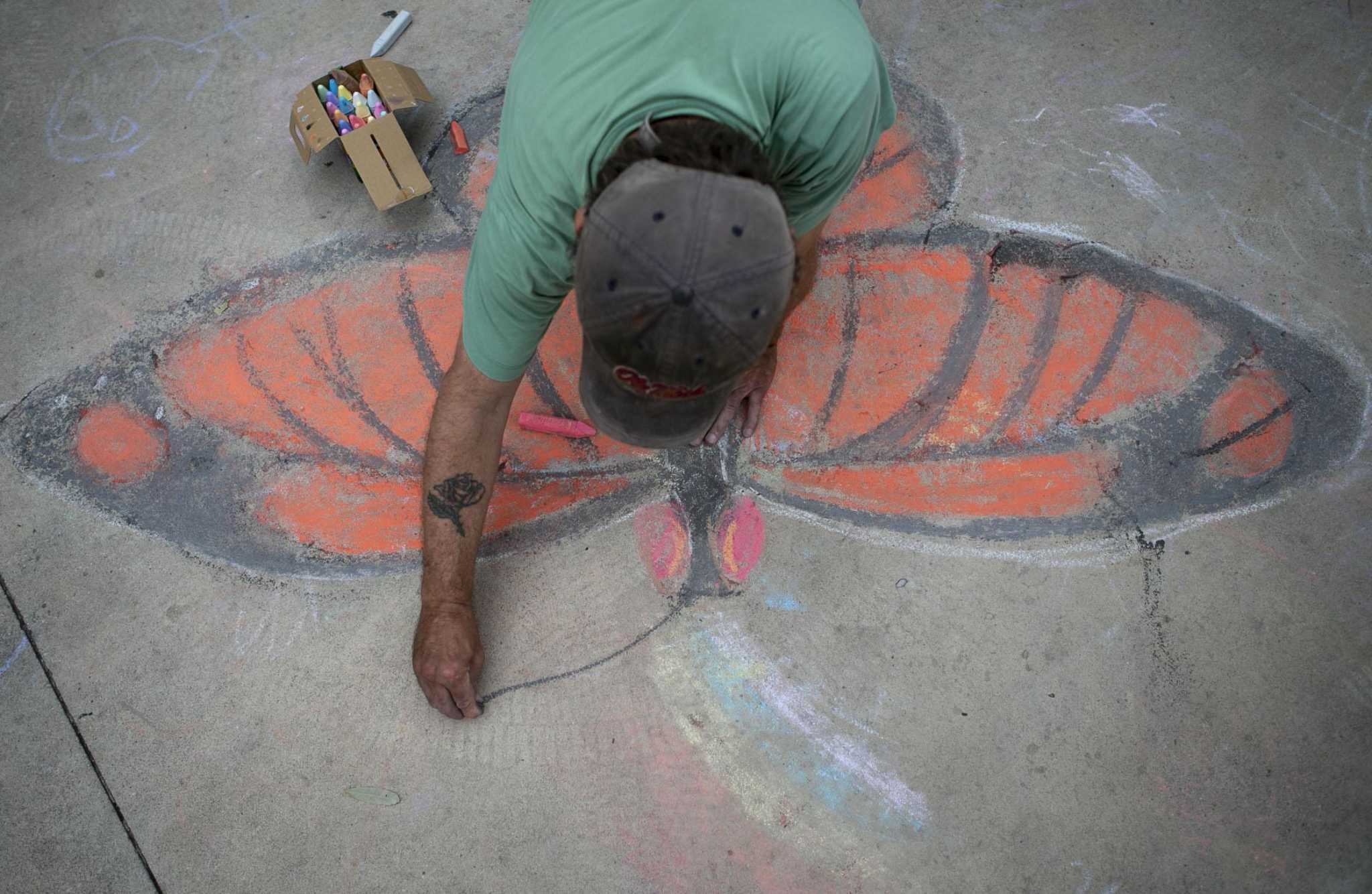 Monarch Butterfly and Pollinator Festival starts this weekend - Vimarsana News