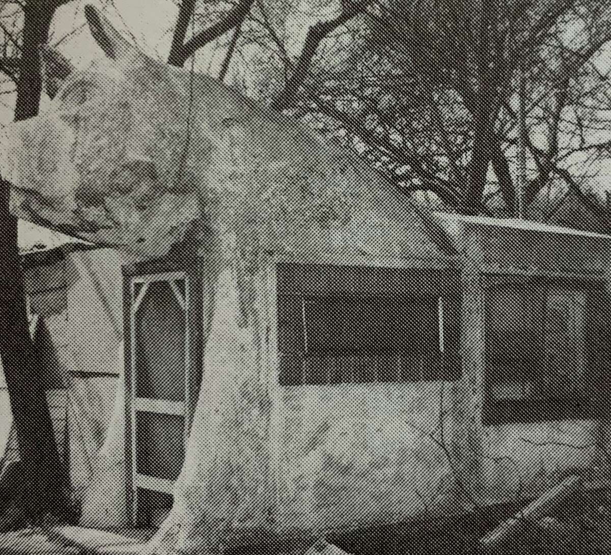 A 1940s photo of the Big Pig structure in San Antonio, best known for its placement at the old Pig Stand diner on South Presa Street. The image appears in “Built in the USA: American Buildings from Airports to Zoos,” published by the National Trust for Historic Preservation.