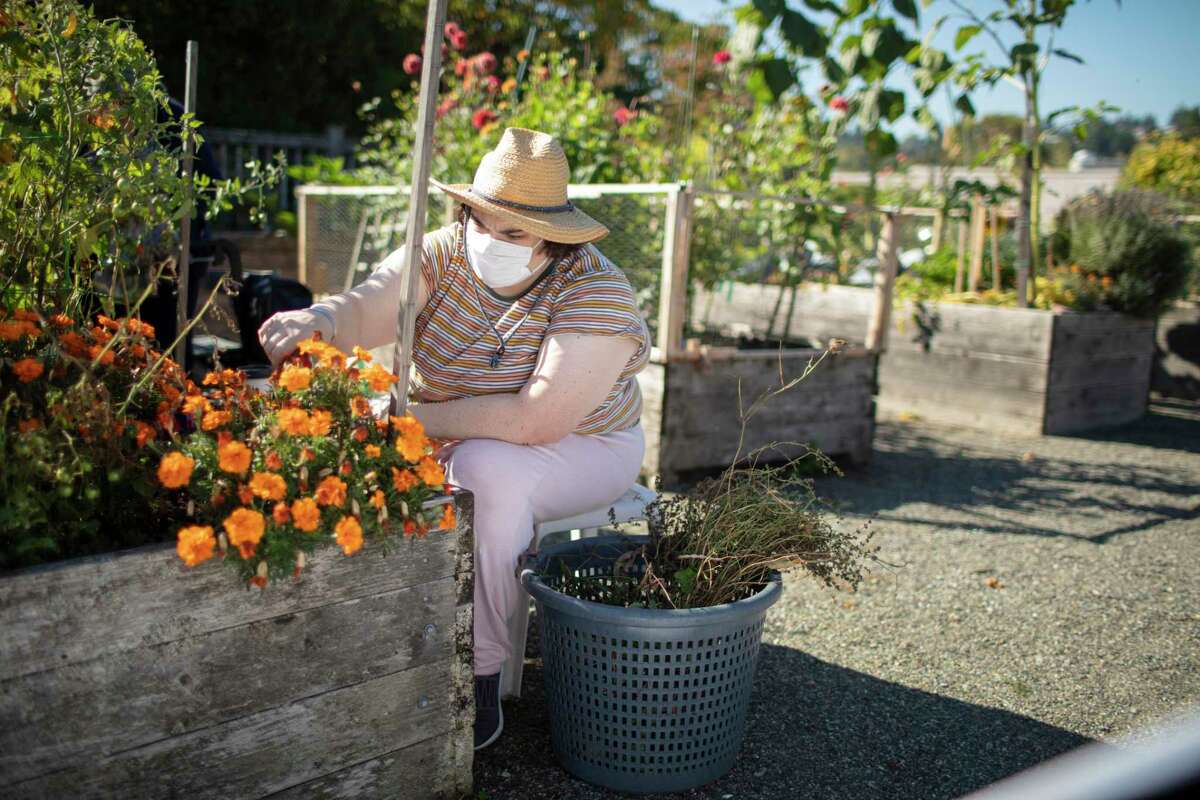 Sarah, the clinical trial patient, works in her garden.