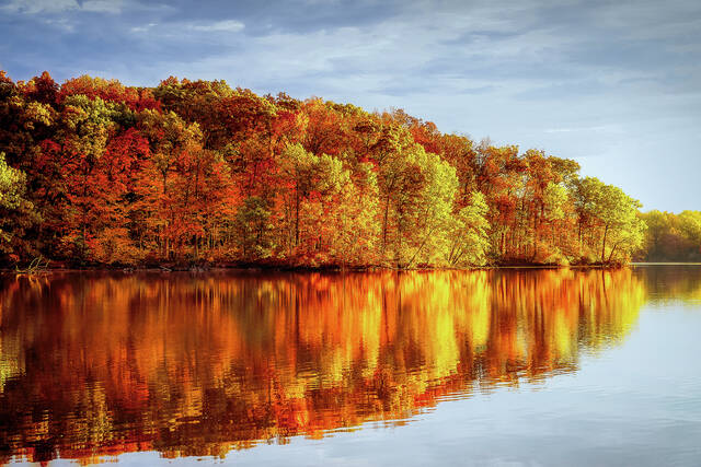 Road trips help revel in fall colors across Illinois - Vimarsana News