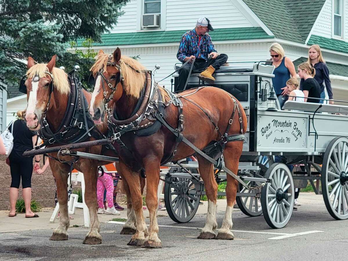 Visitors to Beulah's weekend of Benzie County Fall Festival climb aboard a horse drawn wagon. 