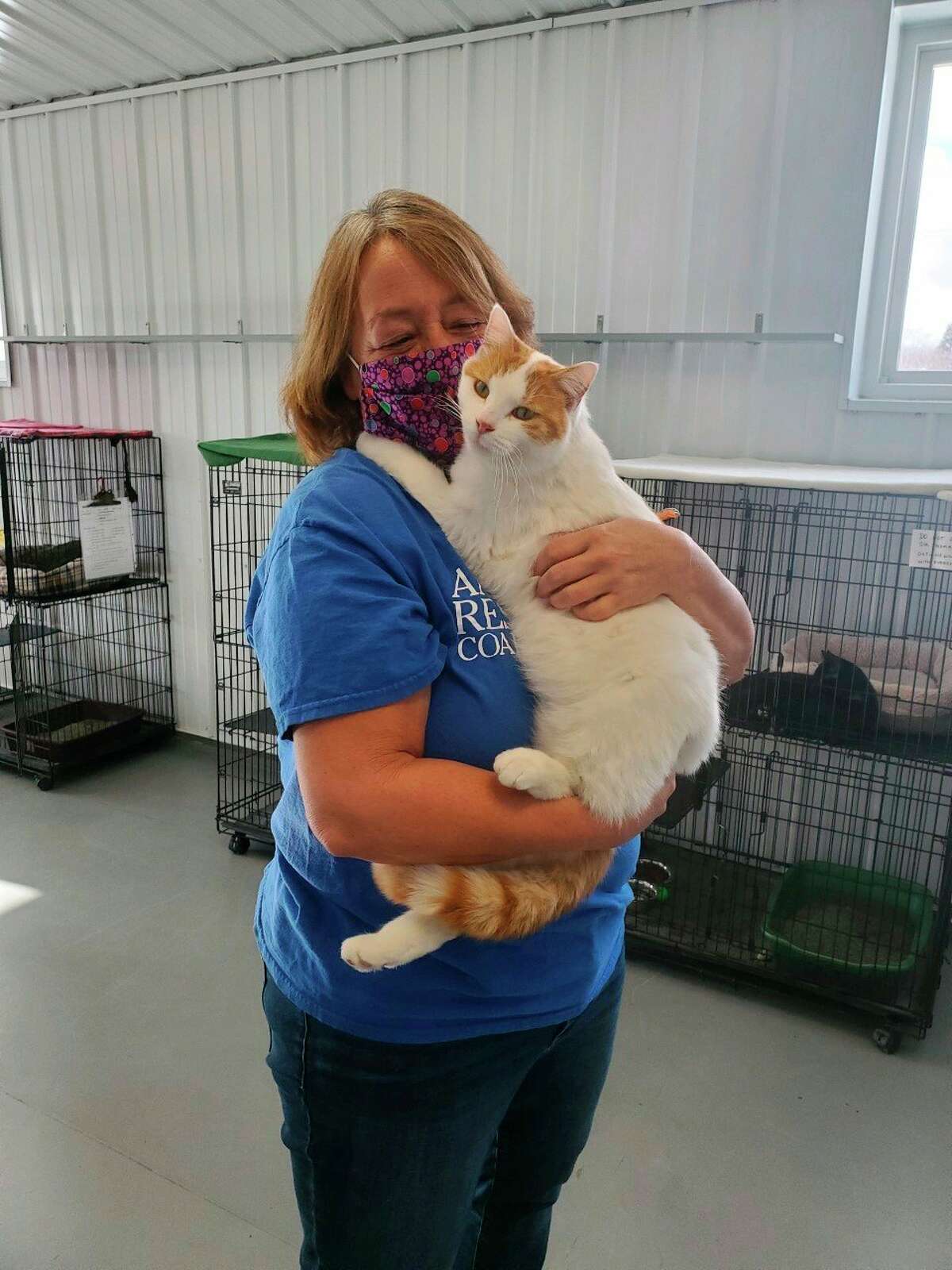 Mecosta County Animal Rescue Coalition reports low surrender rates among  adopted pets