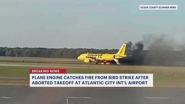 Bird flies into plane engine, causes fire at New Jersey airport
