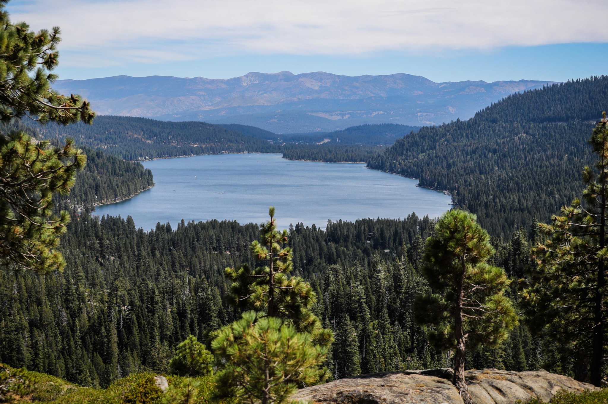 Rare dragonfly species - missing for more than 100 years - is spotted anew at Donner Lake - Vimarsana News