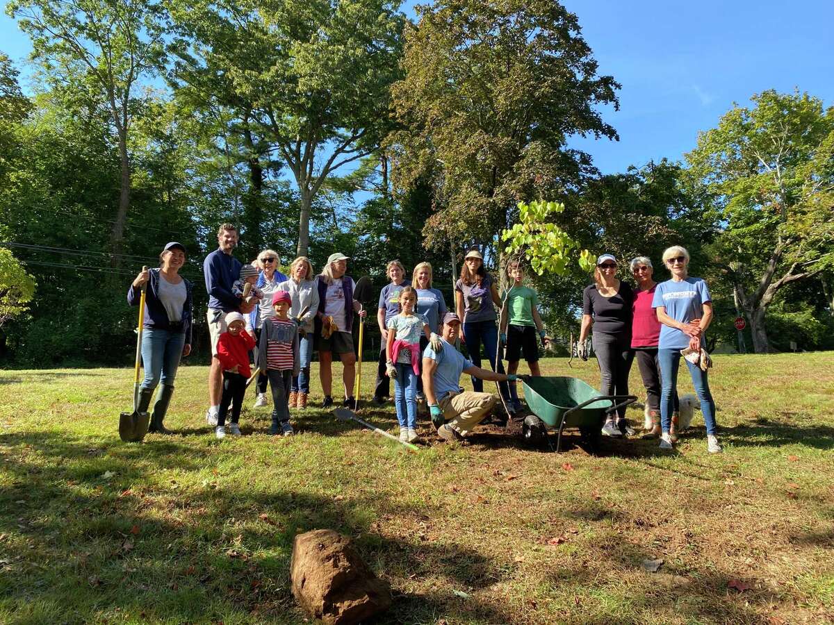 Volunteers helped the Darien Pollinator Pathway and the Department of Public Works plant about 30 native trees and shrubs in the town hall area on Oct. 2, 2021 in Darien.