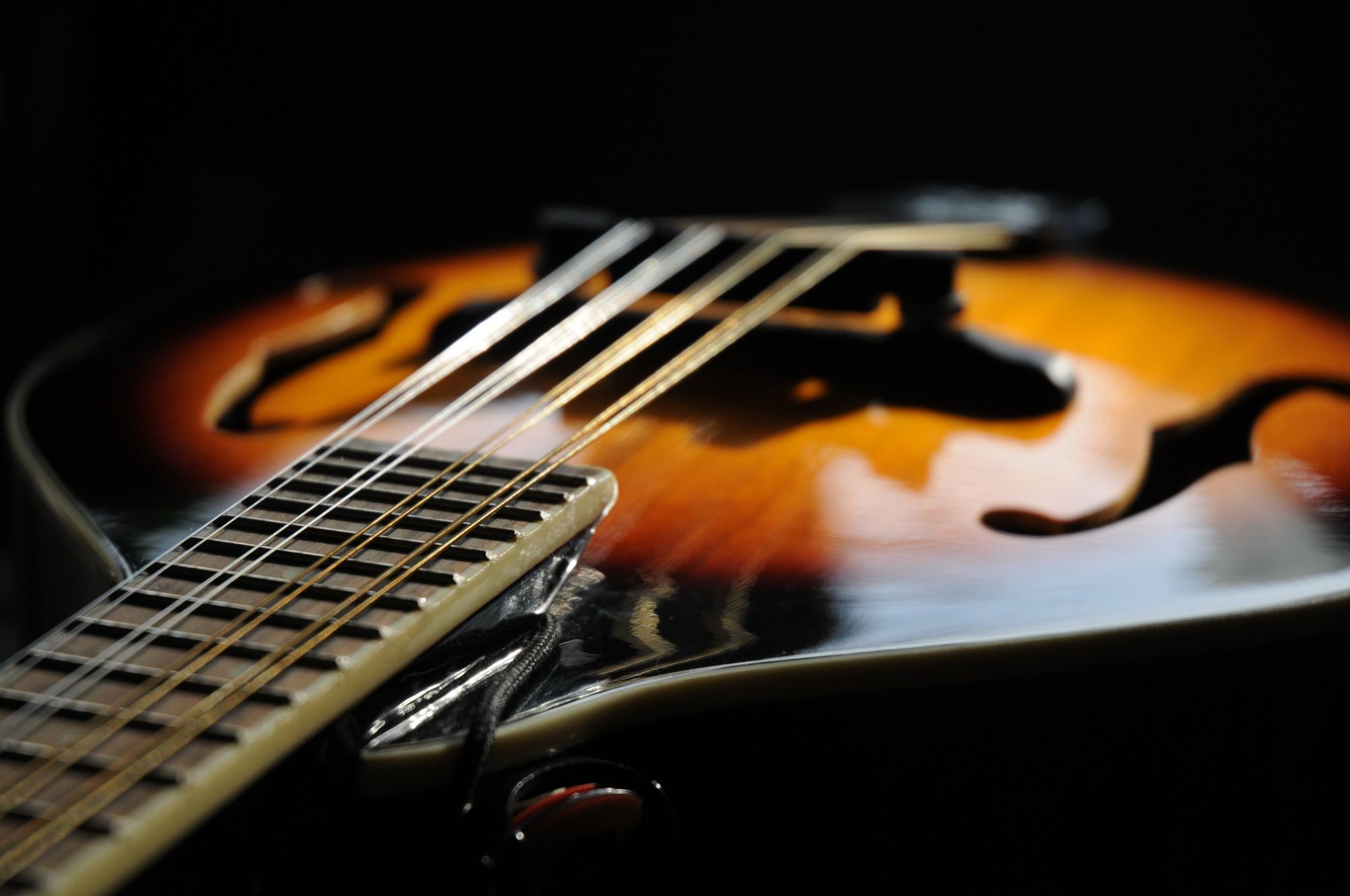 Mandolin orchestra playing Ludington Nov. 20 - Vimarsana News