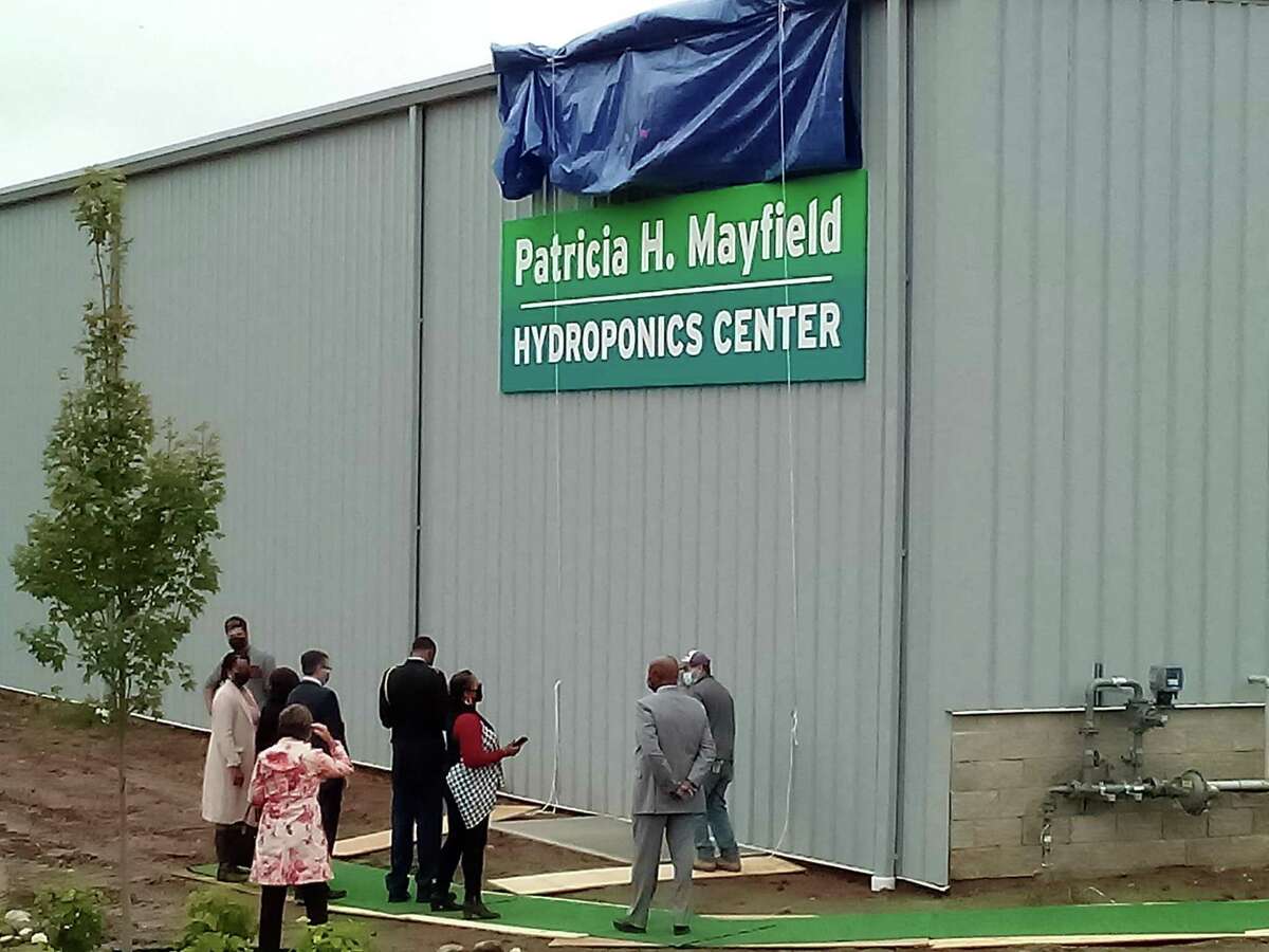 New Opportunities opened the Patricia H. Mayfield Hydroponic Center, named after the agency’s late board chairman and one of its biggest supporters, Tuesday. The center is at Technology Park Drive and is intended to provide fresh food and employment in Torrington. Mayfield’s family members unveiled the sign on the center’s building.