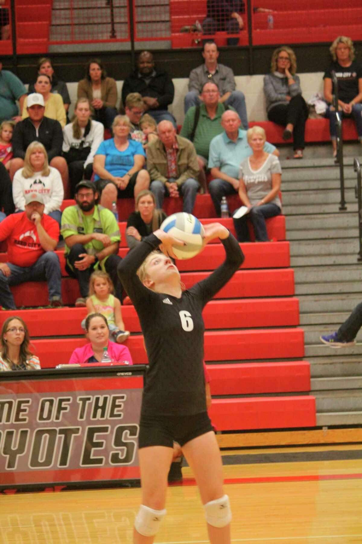 Reed City setter Rachel Van Syckle sets the ball against Big Rapids in volleyball action last week. (Herald Review/John Raffel)