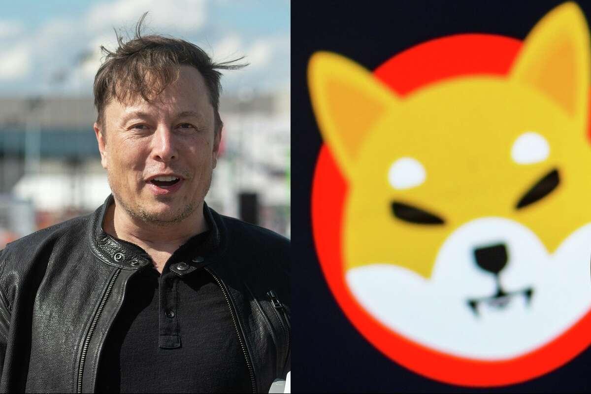 Shiba Inu Coin Jumps 65 After Elon Musk Tweets About His Dog