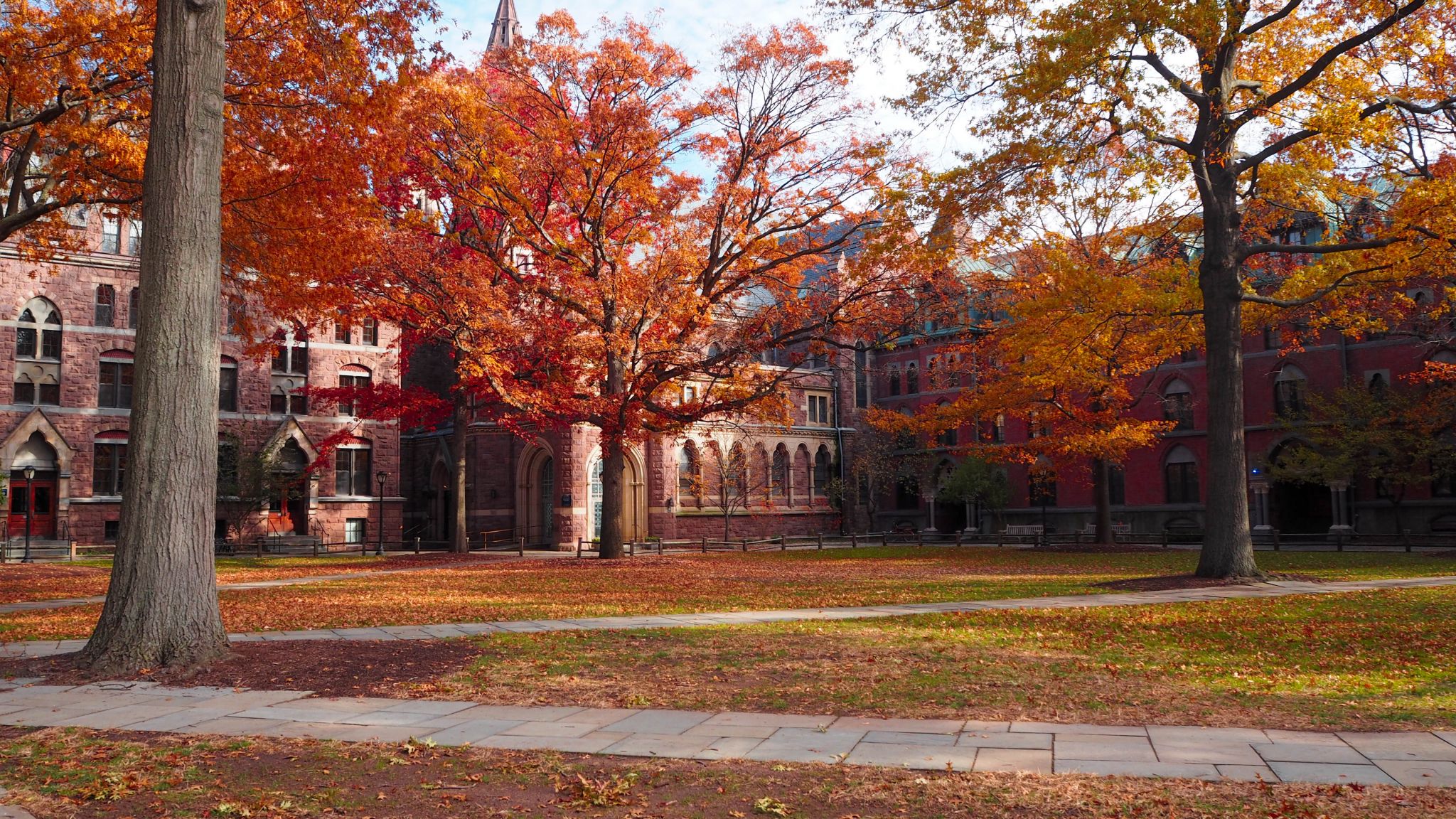 Fodor's Travel picks New Haven as CT's underrated fall destination - Vimarsana News
