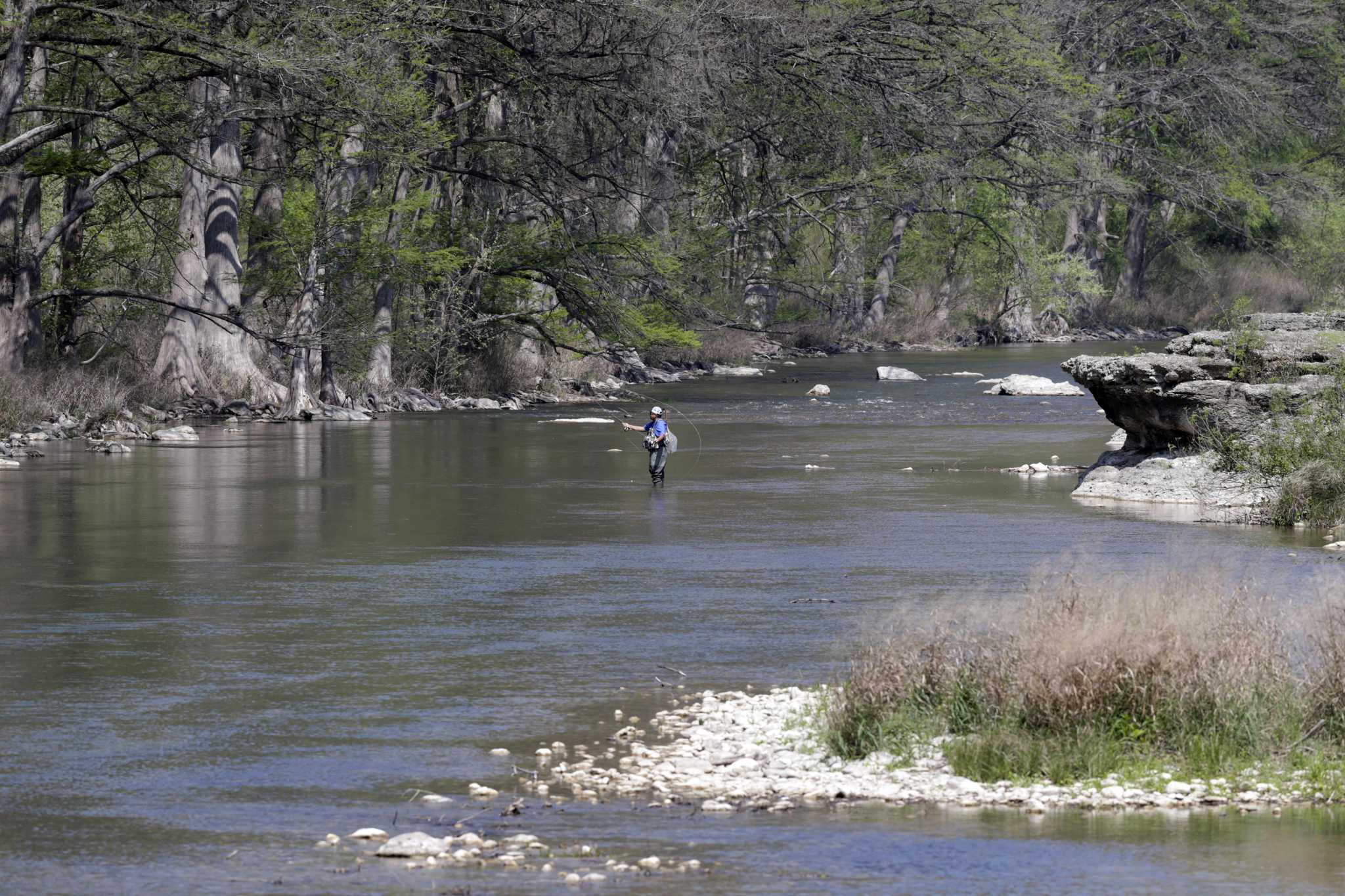 Three types of mussels in Guadalupe River may be added to endangered species list - Vimarsana News