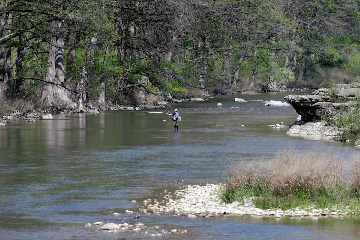 The Guadalupe River Basin is home to three types of freshwater mussels that the U.S. Fish and Wildlife Service has proposed listing as endangered species.
