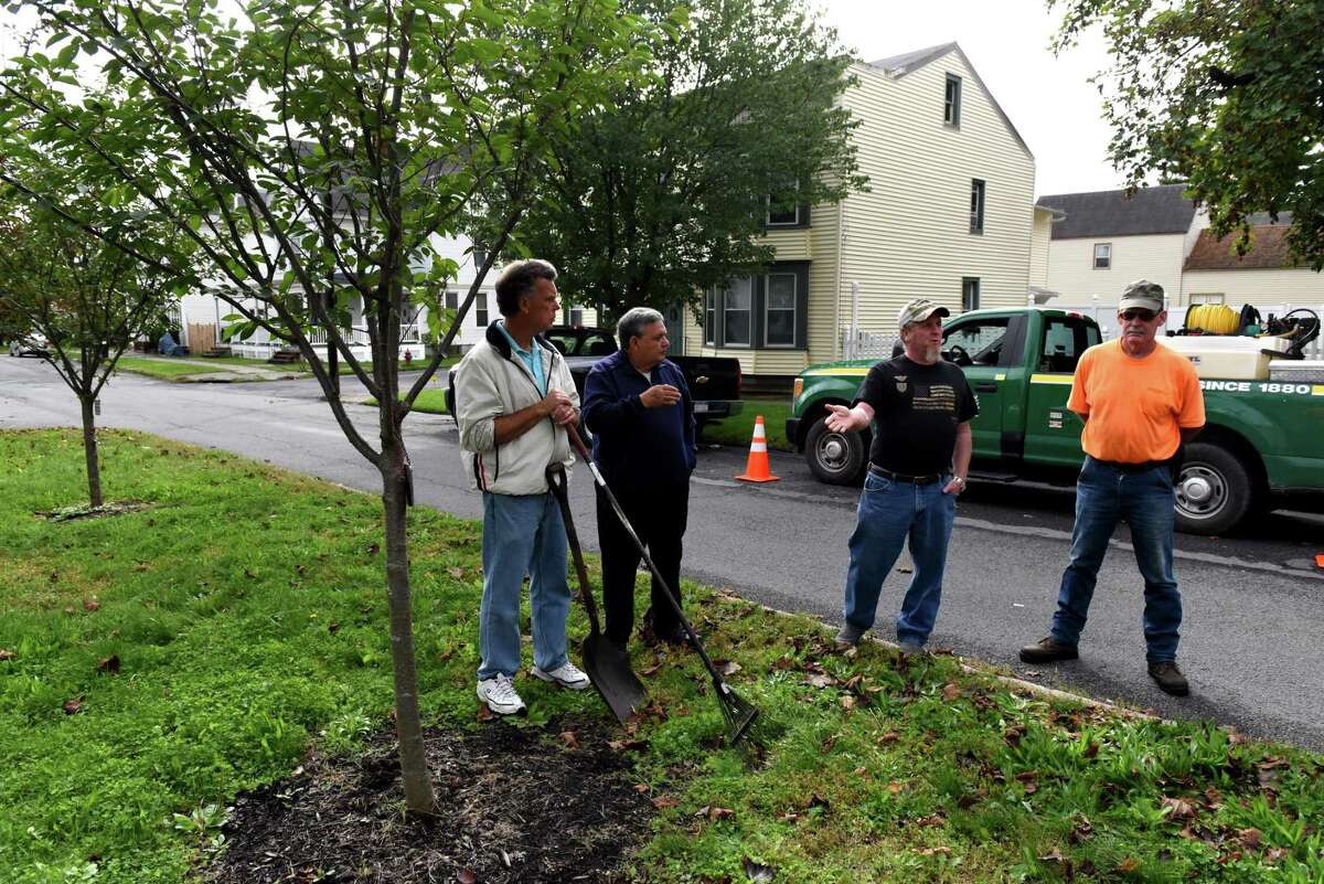 Watervliet tree committee member Bill Fahr, left, Mayor Charles Patricelli, Dan McGrath committee chairman and arborist, and Paul Fahr tree committee secretary, right, stand near some of the new trees planted by the city on 16th Street on Wednesday, Oct. 6, 2021, in Watervliet, N.Y. The city is conducting a city tree planting program.
