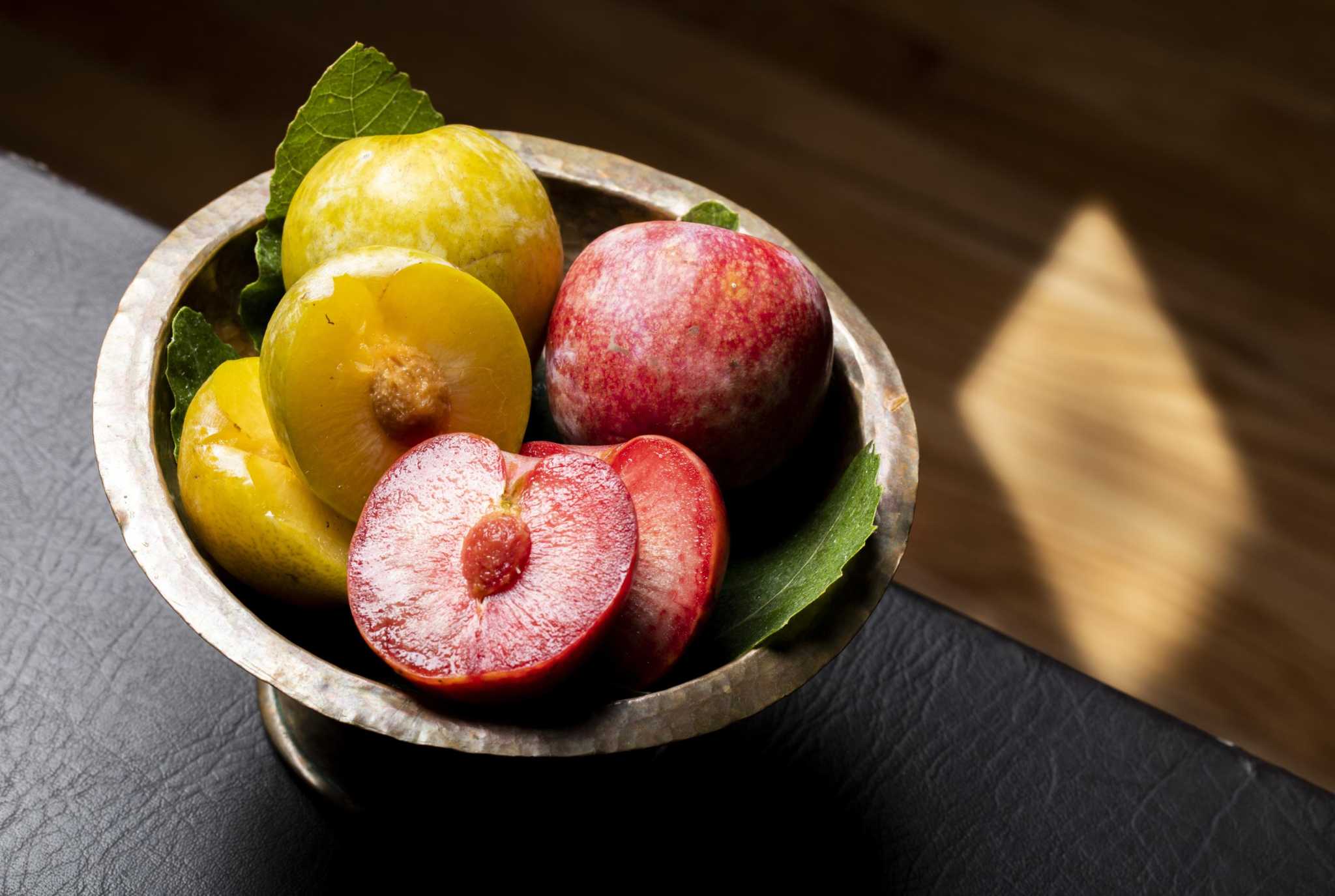 Santiago Fruit Bowl