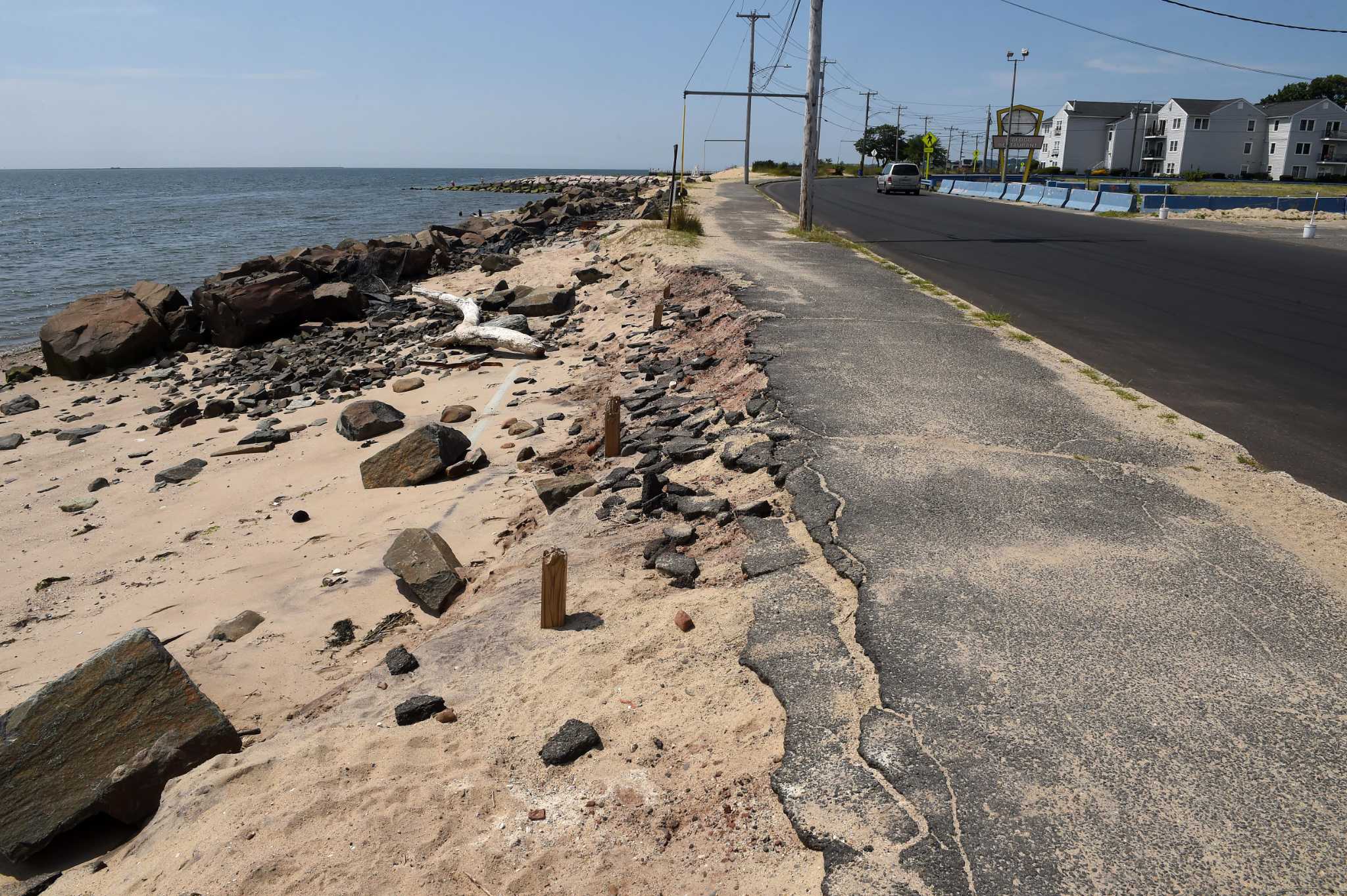 West Haven Beach Street project delayed by protected plants